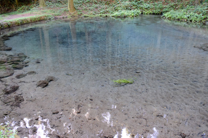 霧島裂罅水が流れ込む小池