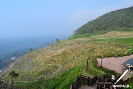 石川県輪島市白米町にある千枚田